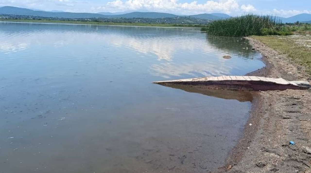 Contaminación en Coatetelco: Palaperos obstruyen escurrimientos naturales de la Laguna