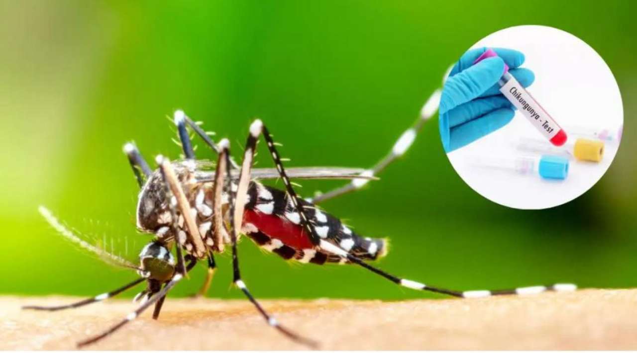 Temixco realiza jornadas de descacharrización contra el Dengue, Zika y Chikungunya