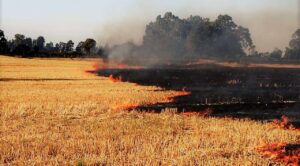 SEDAGRO: Advierte sobre riesgos de quemas agrícolas