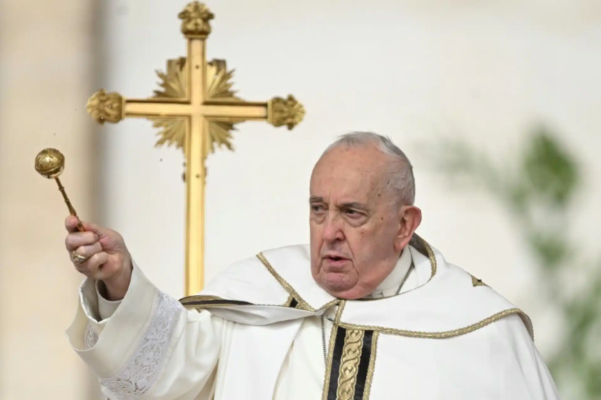 “La guerra es absurda” dice el Papa Francisco.