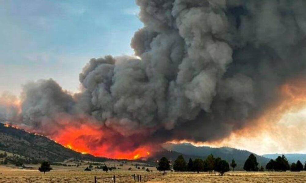 Se emiten recomendaciones para evitar afectaciones por humo derivado de incendios urbanos o forestales