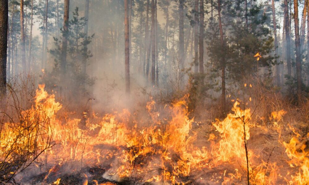 Recomendaciones de Salud Morelos ante Incendios Forestales: Evita Afectaciones por Humo al Norte del Estado