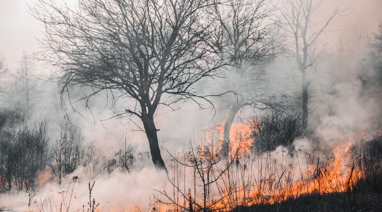 Coordinación Estatal de Protección Civil Advierte sobre Incendios Forestales: 77 Registrados y 2 Activos en el Norte del Estado