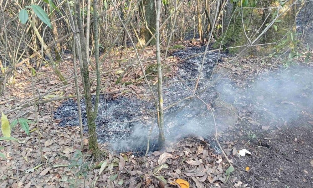 Coalición Ambientalista alerta sobre daños en la ribera del río Cuautla debido a la quema de matorrales y desechos domiciliarios