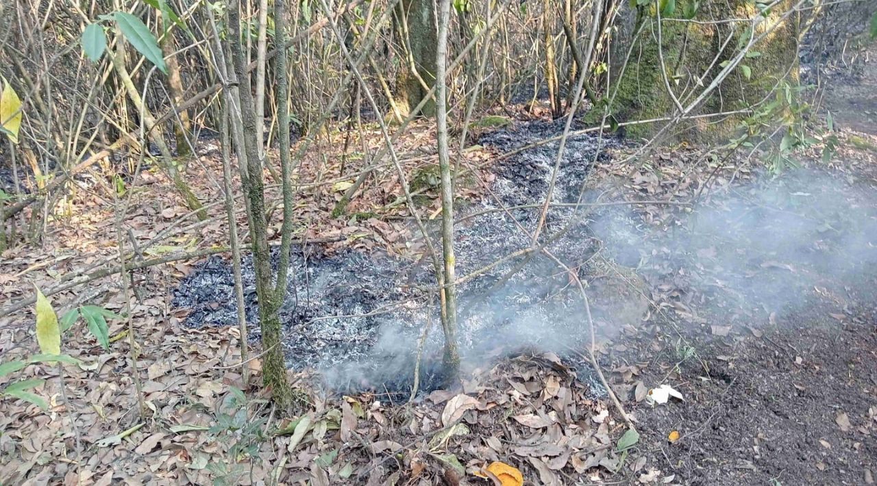 Coalición Ambientalista alerta sobre daños en la ribera del río Cuautla debido a la quema de matorrales y desechos domiciliarios