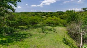 Ruta culinaria en las huertas de Coatlán del Rio