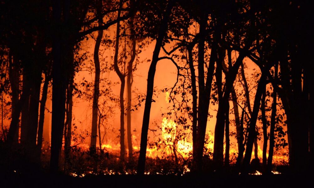 Reportan la Secretaría de Desarrollo Sustentable y la Coordinación Estatal de Protección Civil que avanza 50 por ciento control de incendio en Huitzilac