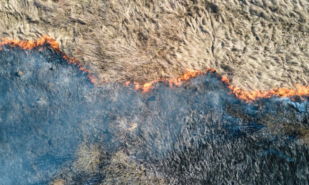 En lo que va del año en Xochitepec se han registrado 120 incendios a pastizales