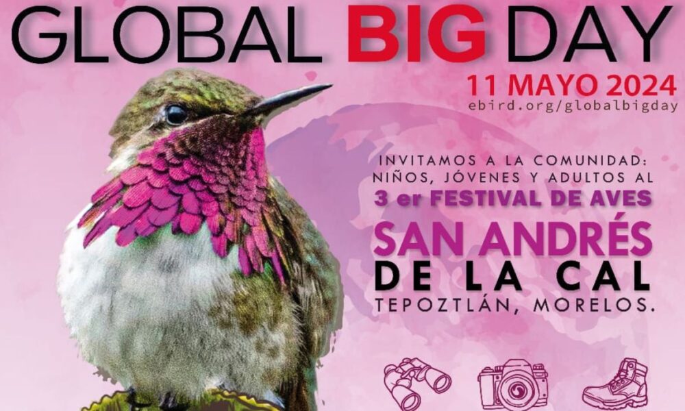 Preparan en San Andrés de la Cal el tercer Festival de Aves en el marco del Global Big Day