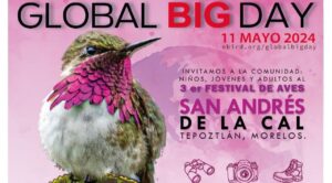 Preparan en San Andrés de la Cal el tercer Festival de Aves en el marco del Global Big Day