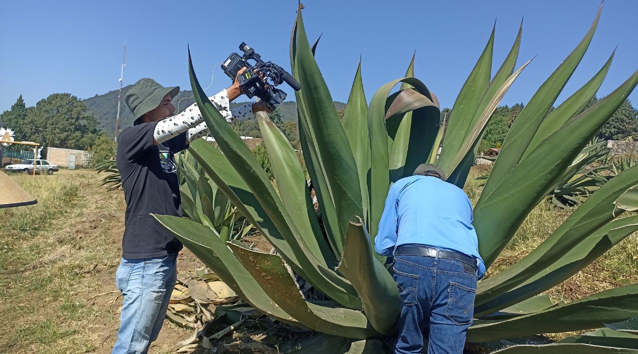 El pulque, el elixir de los dioses, sigue siendo una joya mexicana.