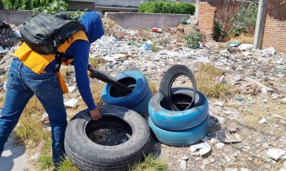 Inicia el periodo epidémico del dengue: Lluvias y altas temperaturas aumentan riesgo de casos