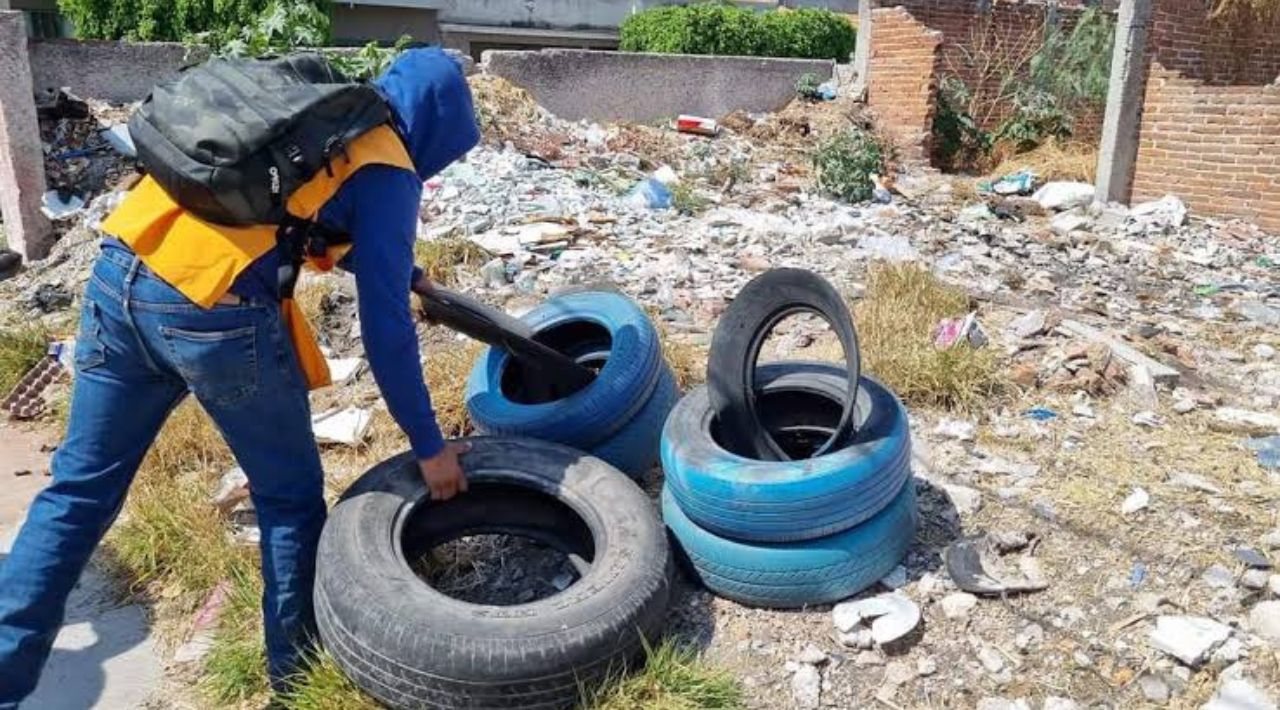 Inicia el periodo epidémico del dengue: Lluvias y altas temperaturas aumentan riesgo de casos