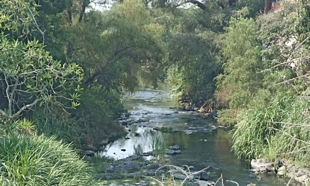 En Jojutla han iniciado el desazolvé de los rios que cruzan por este municipio