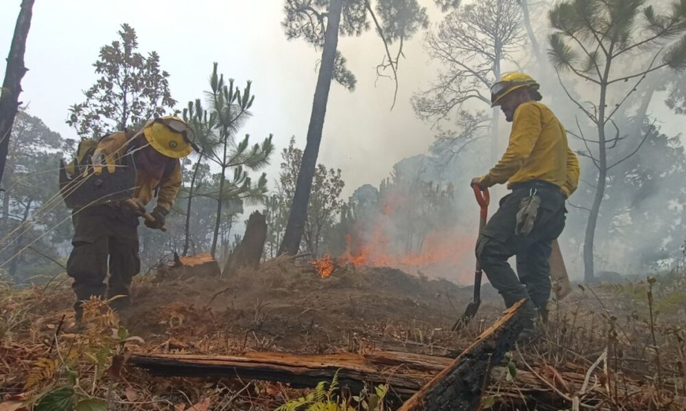 El Mando Unificado de Incendios Forestales mantiene la atención para sofocar los incendios activos