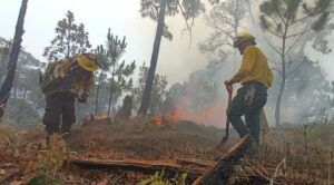 El Mando Unificado de Incendios Forestales mantiene la atención para sofocar los incendios activos