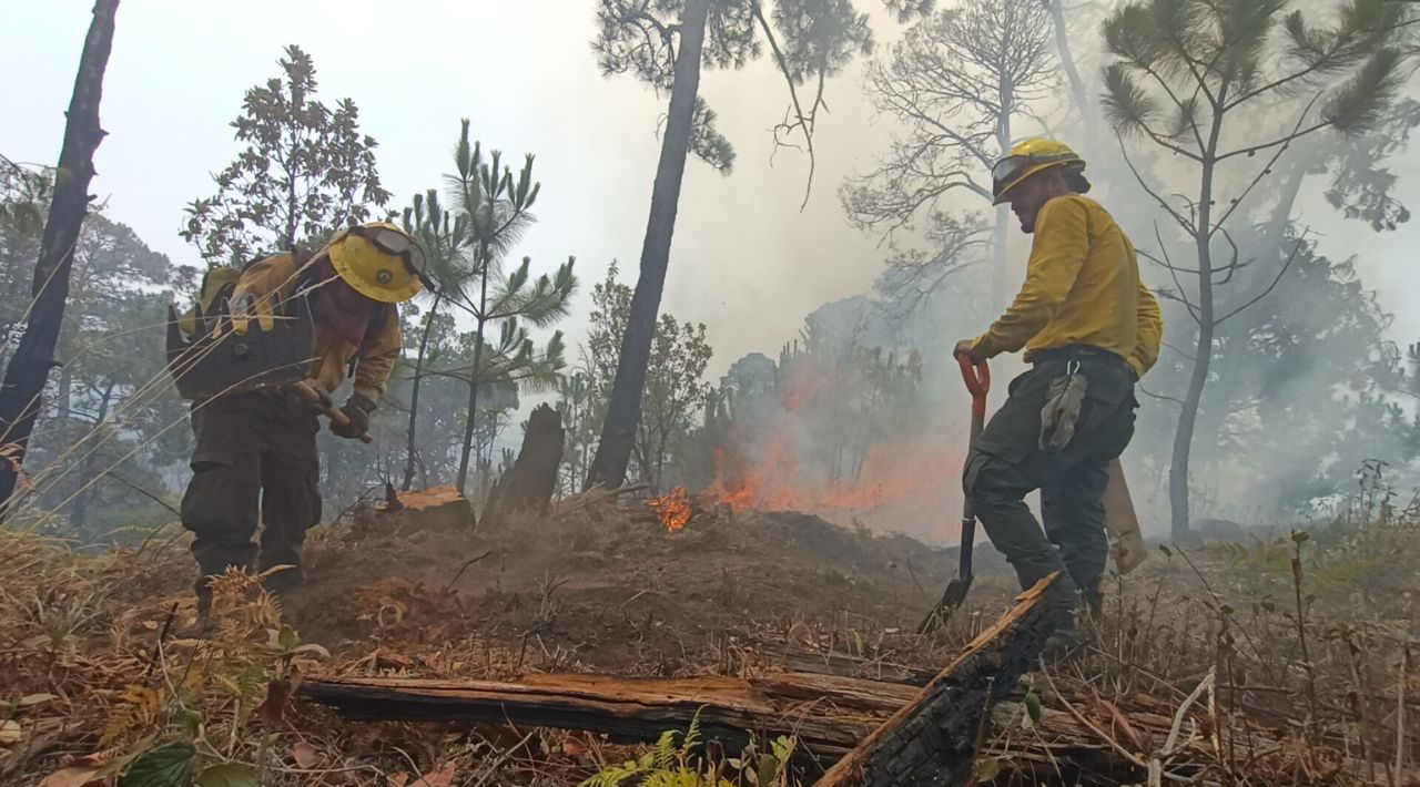 El Mando Unificado de Incendios Forestales mantiene la atención para sofocar los incendios activos