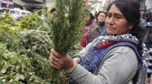 Tetelcingo impulsa la conservación para la salud comunitaria