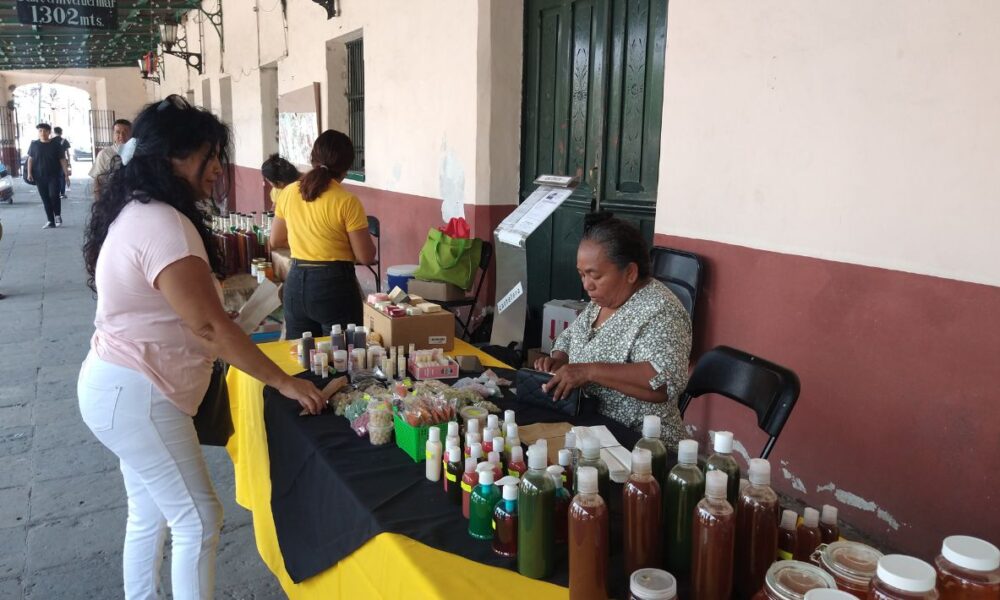  Celebran el Día Mundial de las Abejas 