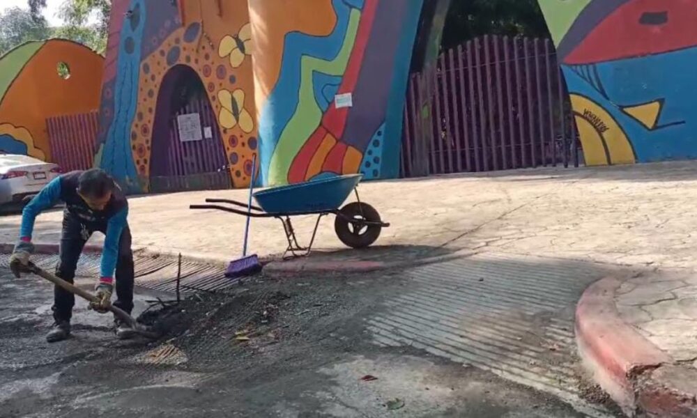 Trabajos de limpieza en el Parque Chapultepec tras daños por lluvia y viento: Espacio cerrado temporalmente