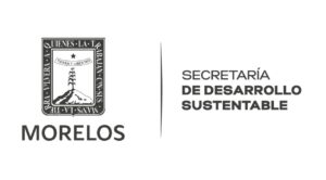 La Secretaria de Desarrollo Sustentable presenta las actividades del mes de junio “Día mundial del Medio ambiente”