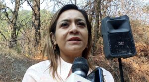 Diputada Érika Hernández Gordillo reconoce numerosos temas pendientes para la LV Legislatura en el próximo mes