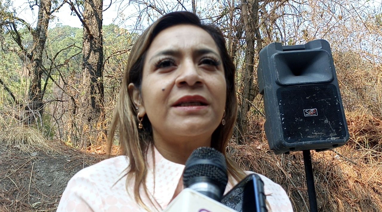 Diputada Érika Hernández Gordillo reconoce numerosos temas pendientes para la LV Legislatura en el próximo mes