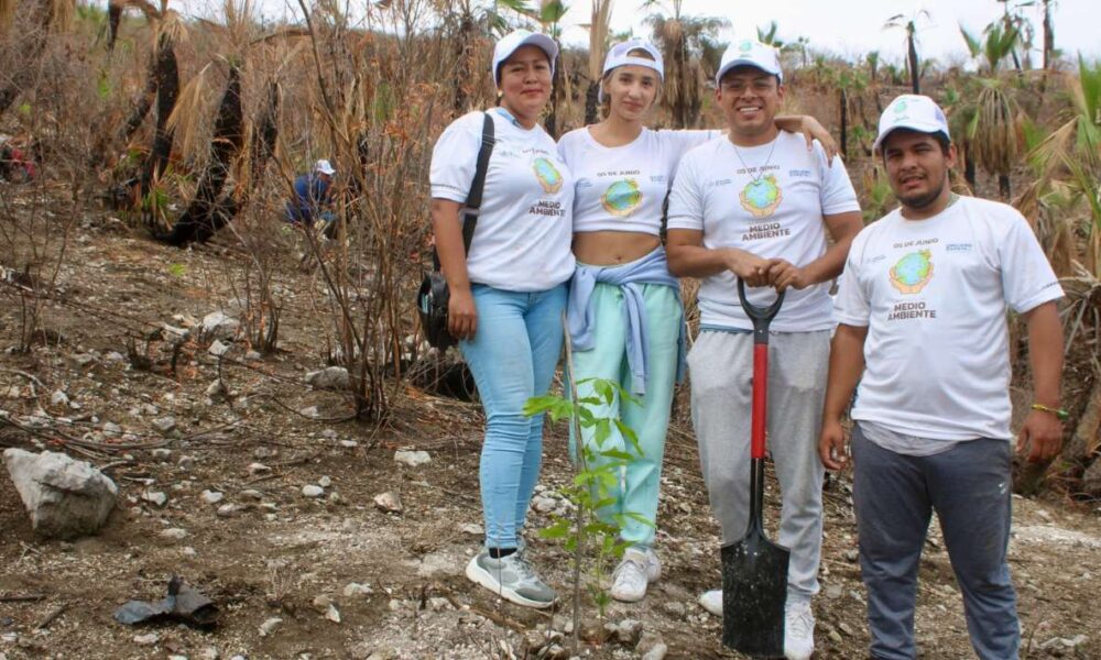 Por el Mes del Medio Ambiente plantará la Secretaría de Desarrollo Sustentables 4 mil 500 árboles en zonas perturbadas