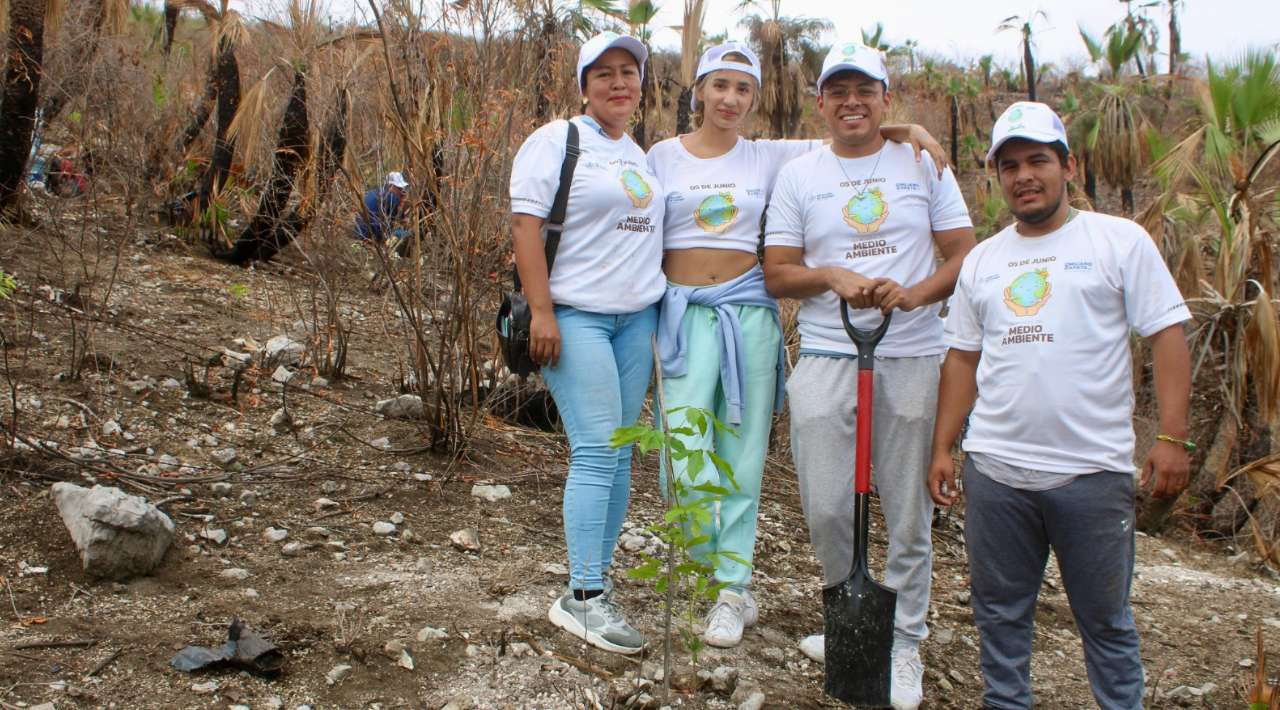 Por el Mes del Medio Ambiente plantará la Secretaría de Desarrollo Sustentables 4 mil 500 árboles en zonas perturbadas