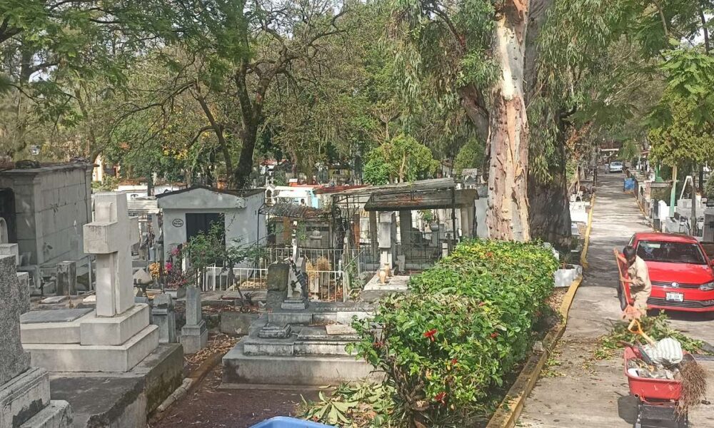 Vendedores de flores en panteones esperan incremento de ventas por el Día del Padre