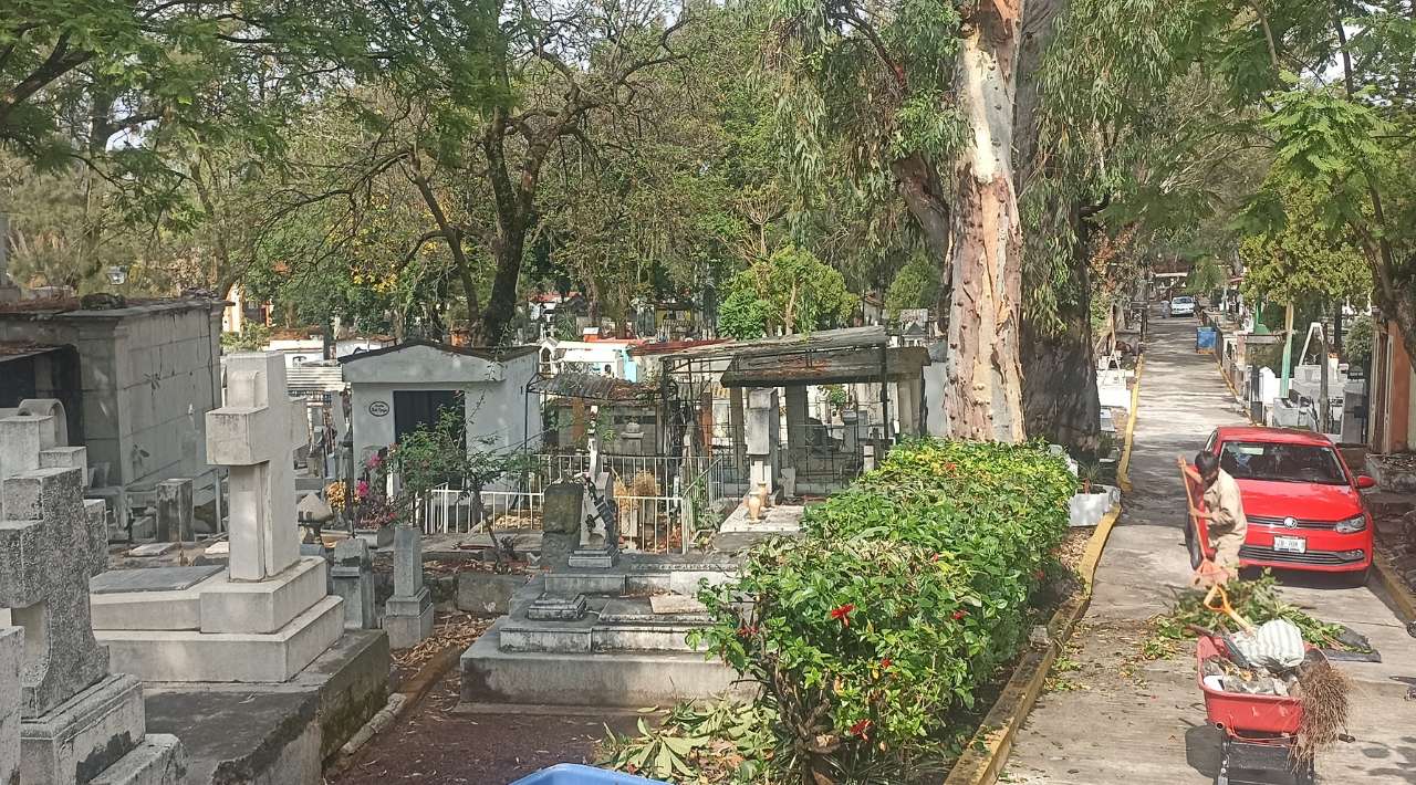 Vendedores de flores en panteones esperan incremento de ventas por el Día del Padre