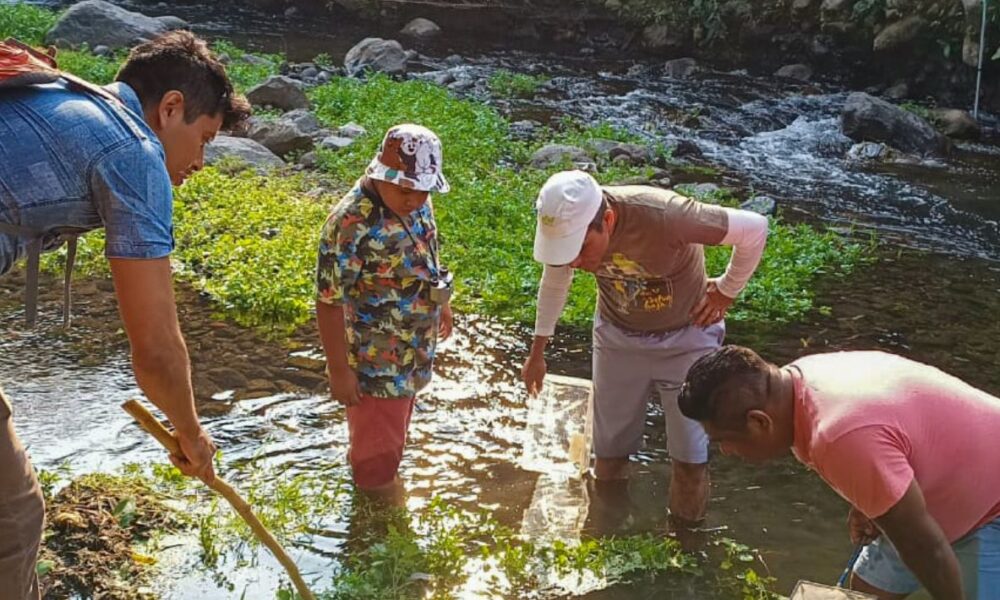 Se llevará a cabo el último recorrido para la recolección de plantas del inventario florístico del río Cuautla