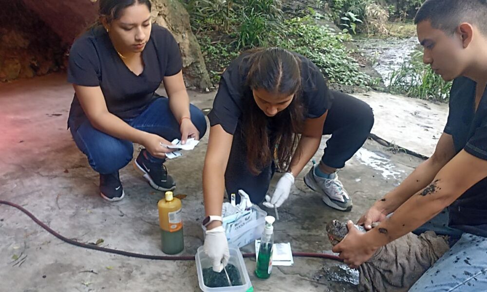 Realizan revisiones a “Gordo” el Cocodrilo del Parque Estatal Barranca Chapultepec.