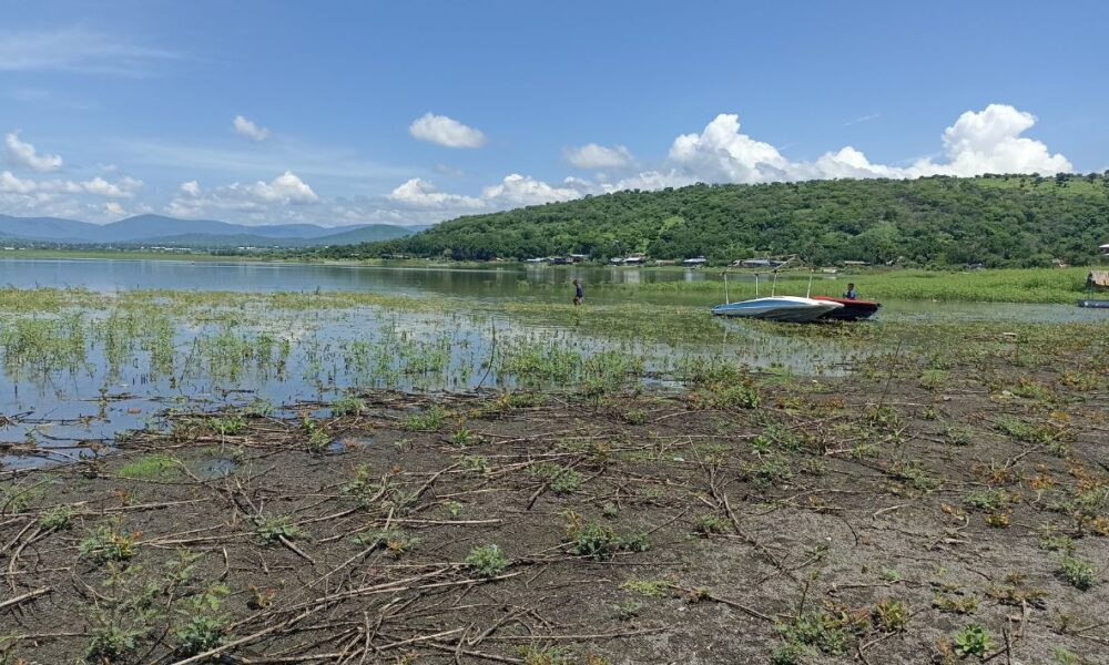 Confirman la recuperación parcial de la laguna de Coatetelco