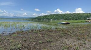 Confirman la recuperación parcial de la laguna de Coatetelco