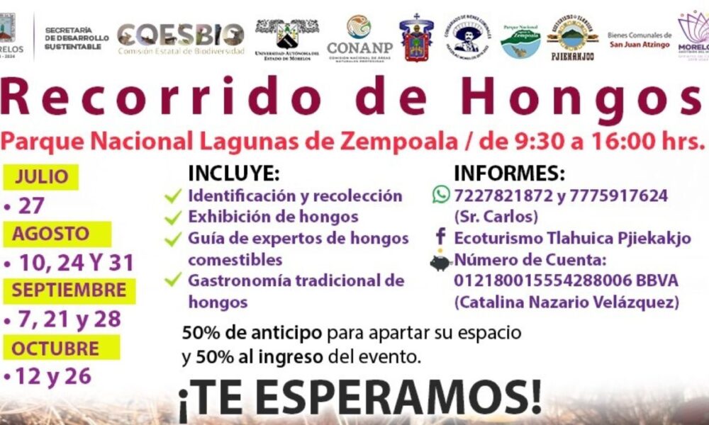 Organiza la Secretaría de Desarrollo Sustentable recorridos para que las y los ciudadanos conozcan especies de hongos