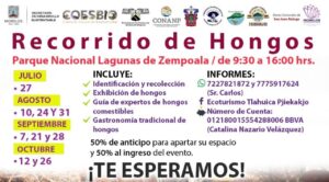 Organiza la Secretaría de Desarrollo Sustentable recorridos para que las y los ciudadanos conozcan especies de hongos