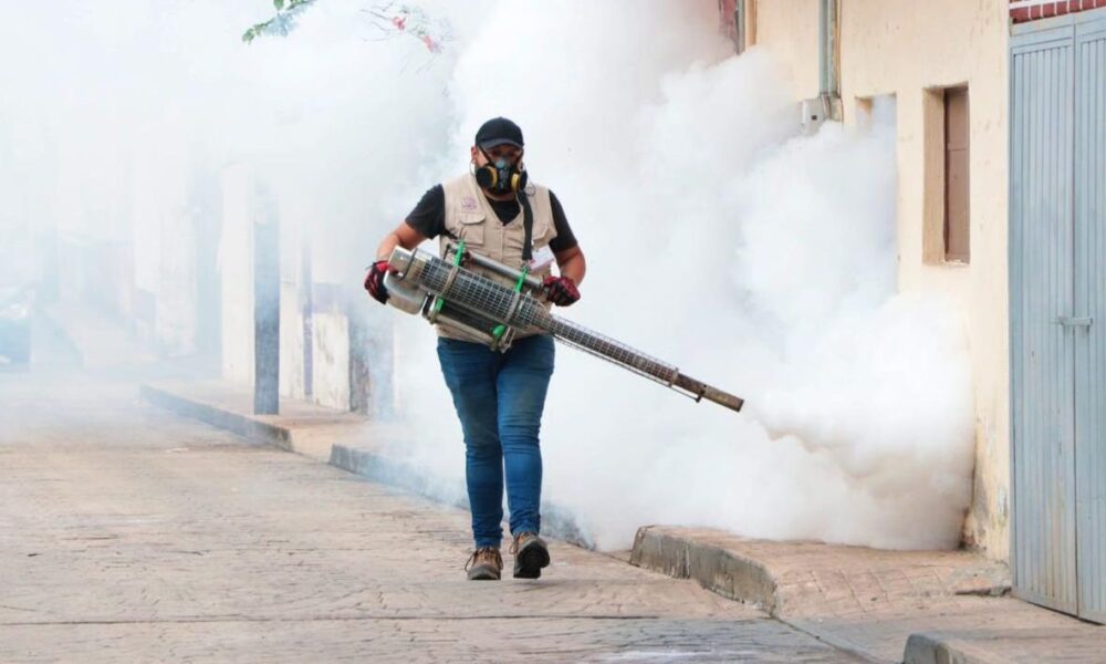 Protegen la zona sur contra el dengue