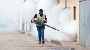 Protegen la zona sur contra el dengue