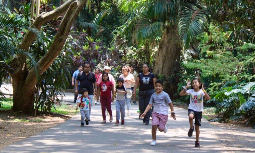 Parque Barranca Chapultepec Abre lunes en Vacaciones de Verano