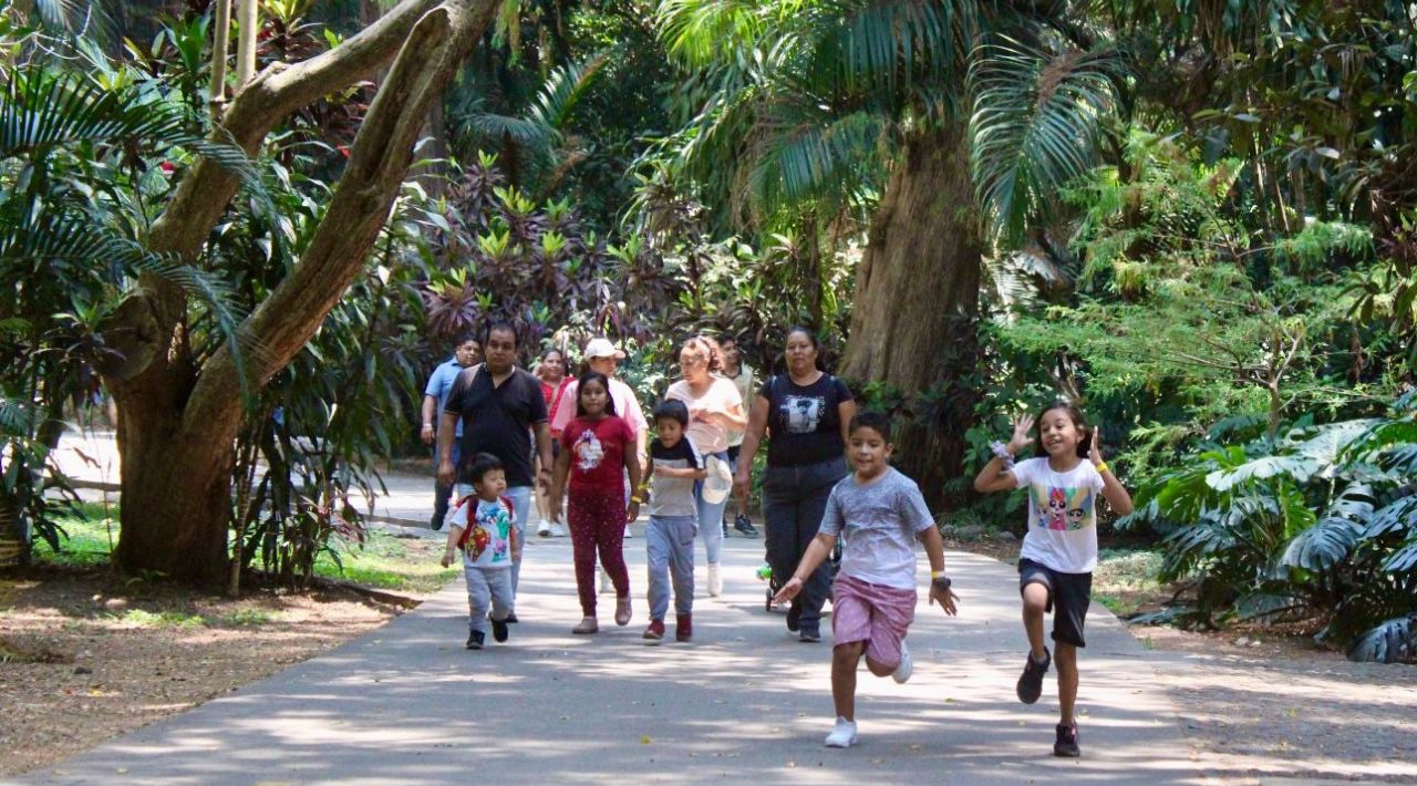 Parque Barranca Chapultepec Abre lunes en Vacaciones de Verano