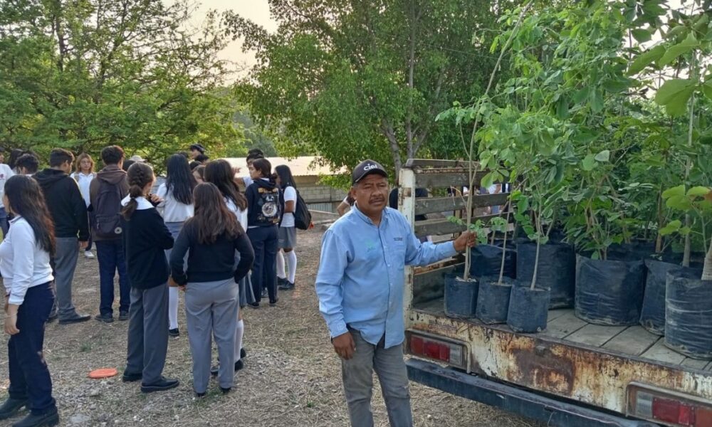 La Secretaría de Desarrollo Sustentable arboriza la secundaria “Gabino Barreda” de Cuautla