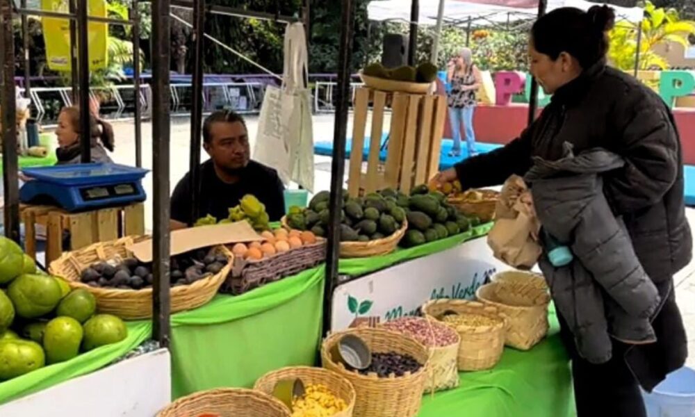 Cerca de 3 mil personas disfrutaron de la edición 133 del Mercadito Verde Morelos