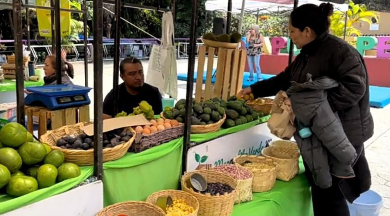 Cerca de 3 mil personas disfrutaron de la edición 133 del Mercadito Verde Morelos