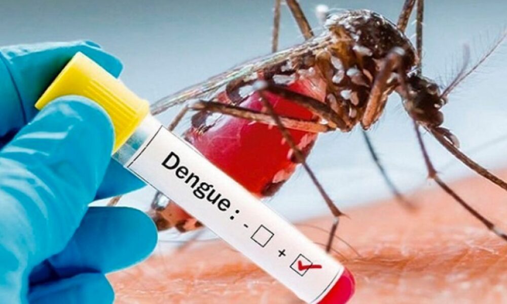 SSM exhorta a la población a reforzar medidas contra el Dengue