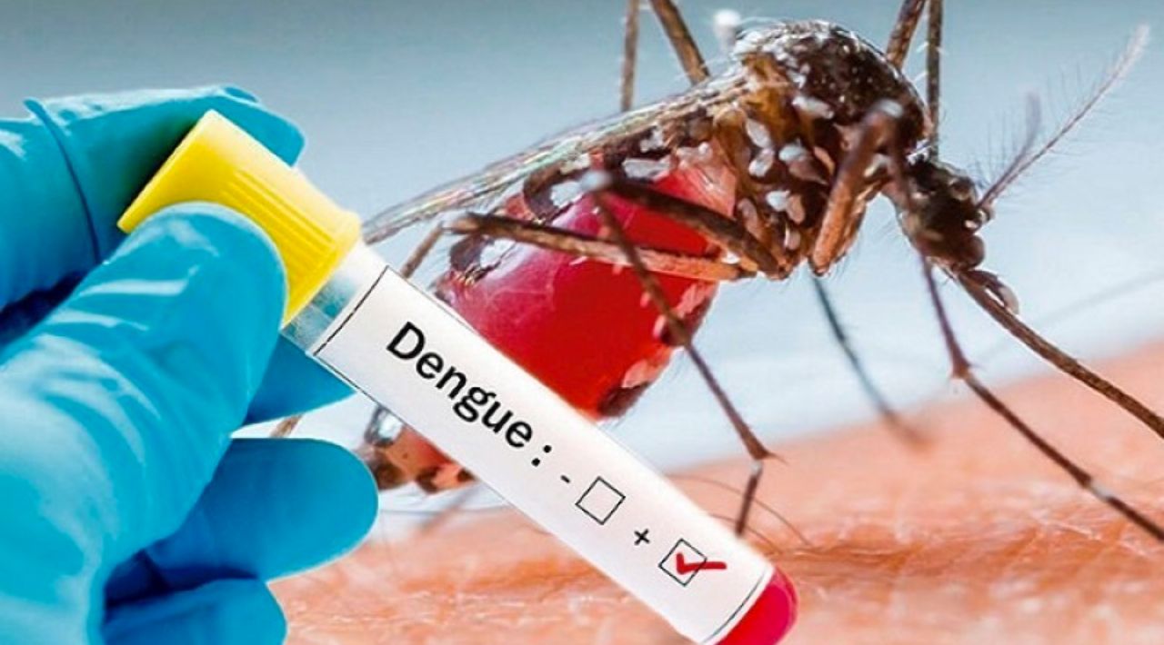 SSM exhorta a la población a reforzar medidas contra el Dengue