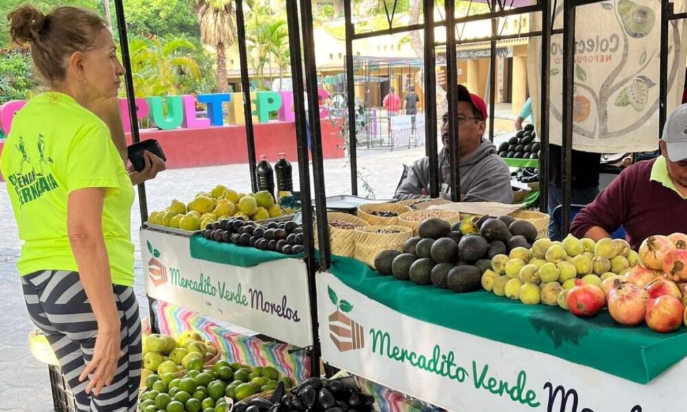 Edición 134 del Mercadito Verde Morelos Promueve Comercio Local y Sostenibilidad