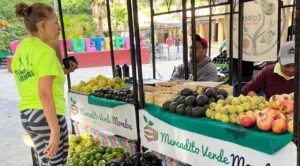 Edición 134 del Mercadito Verde Morelos Promueve Comercio Local y Sostenibilidad