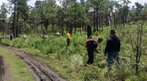 Huitzilac recibe 23,570 árboles en campaña estatal de reforestación