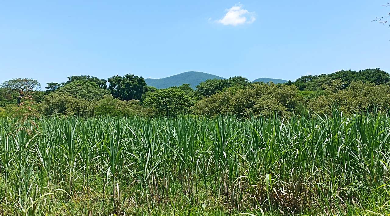 Procuraduría Agraria de Morelos impulsa actualización de padrones en ejidos y comunidades para fortalecer la representación agraria